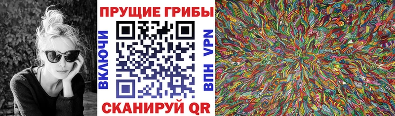 Псилоцибиновые грибы мицелий  цена   Шуя 