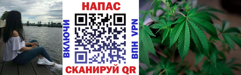 Бошки Шишки OG Kush  МЕГА как зайти  Шуя 